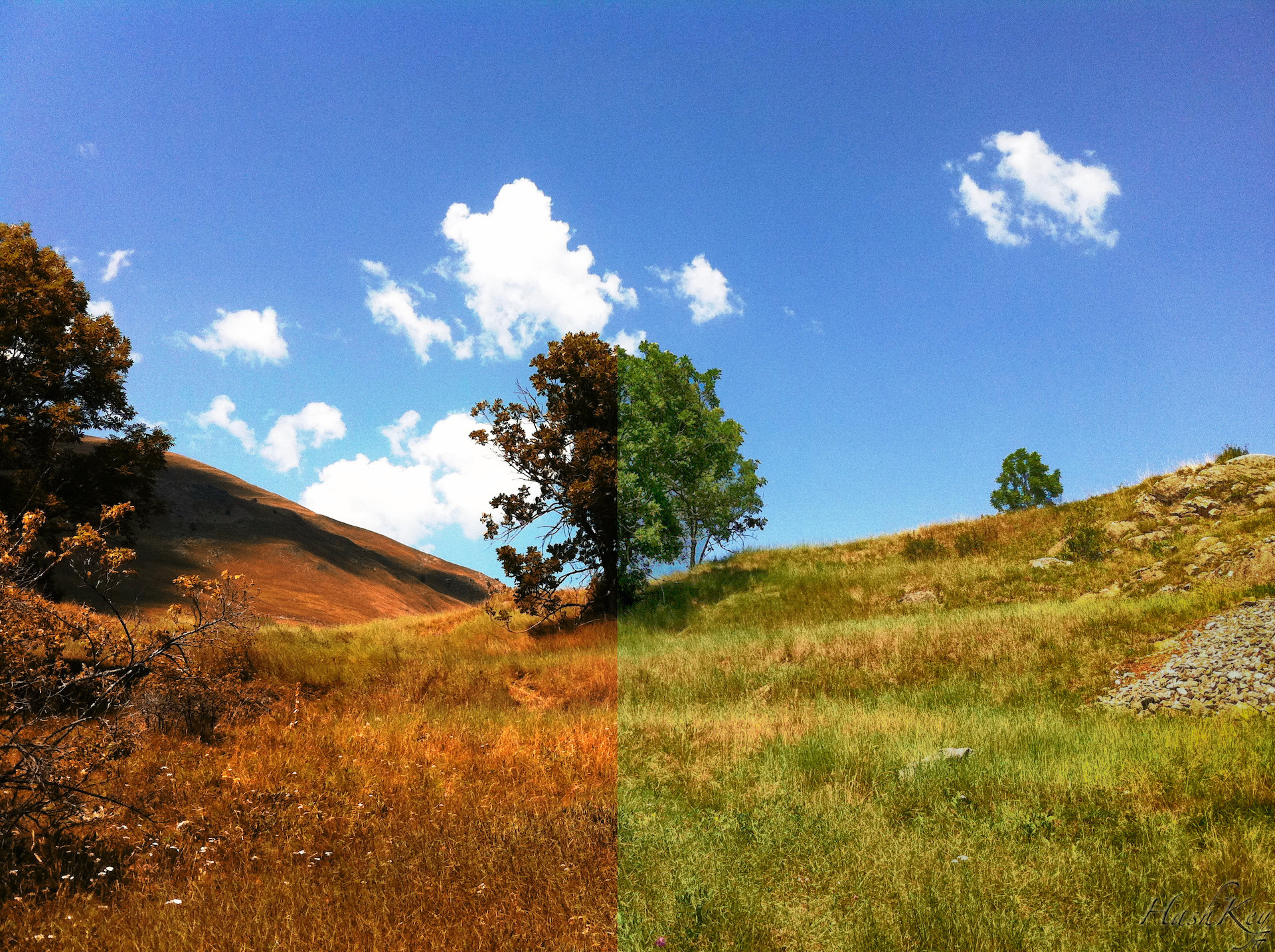 Deux Saisons - Photographie artistique de Fabien Serna
