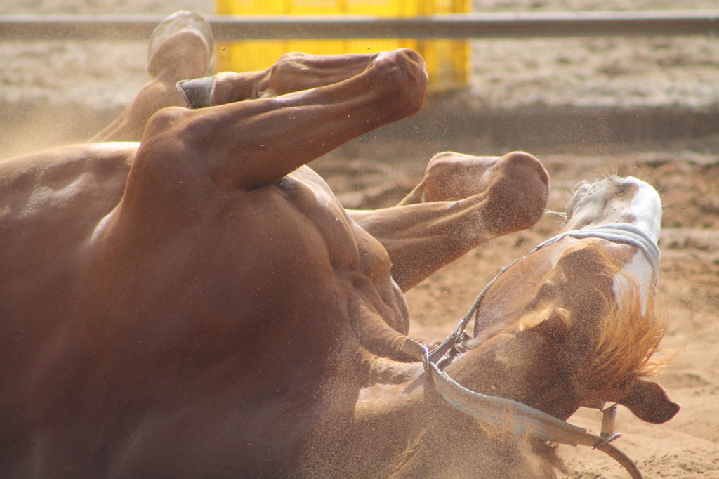 Gan Hayim - Paysage onirique