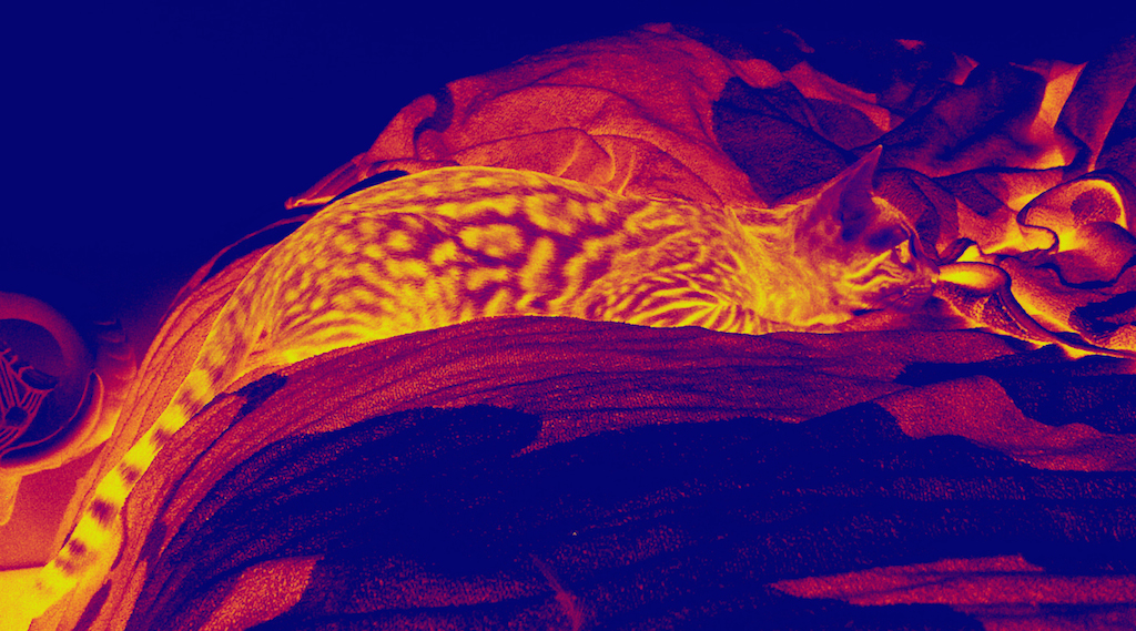 Djebel - Paysage et contemplation