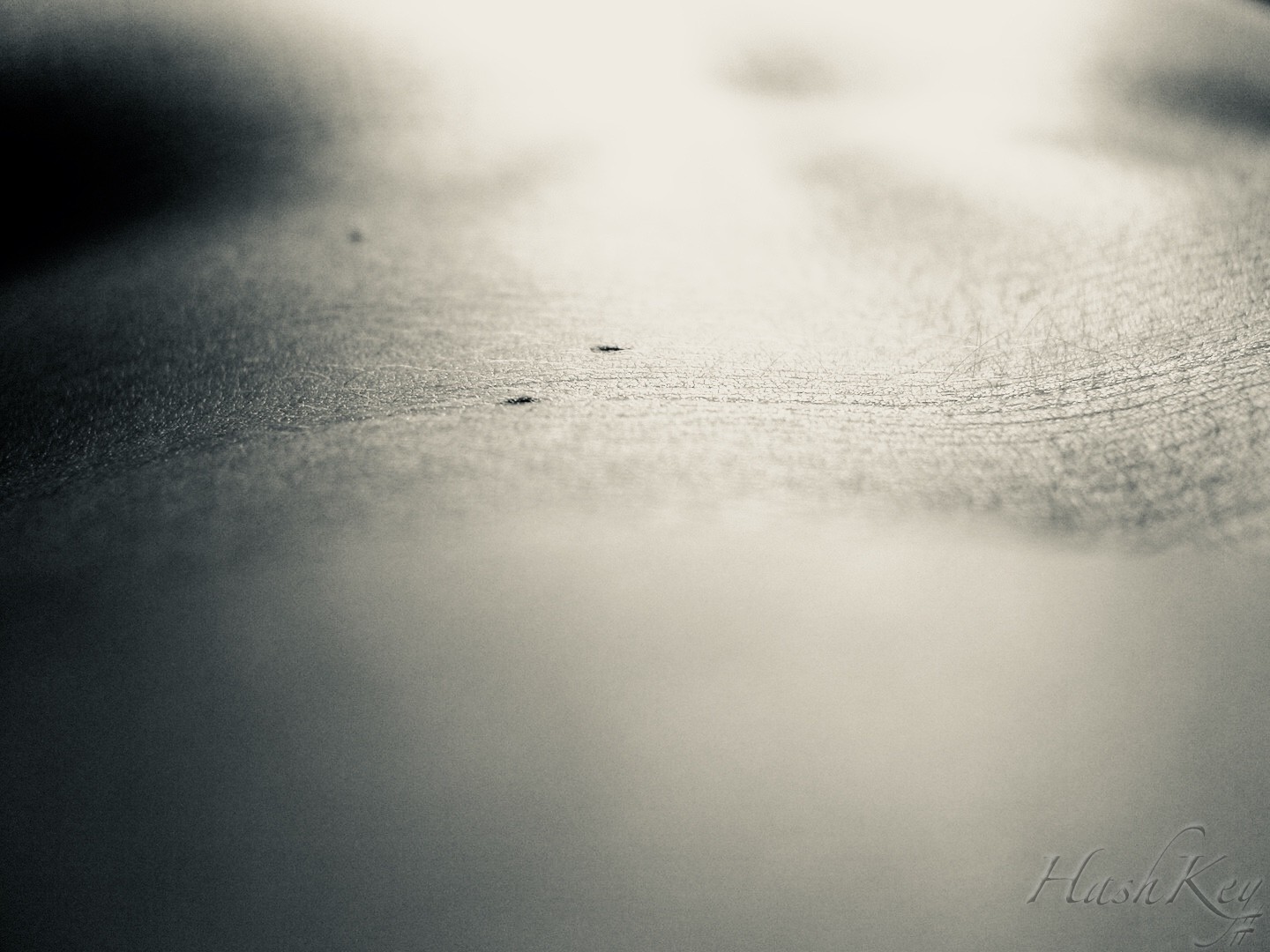 Fabien Serna - Photographe artistique, séries entre rêve et introspection